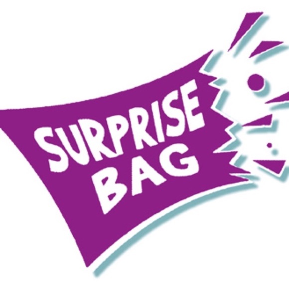 $40 NWT Surprise Handbag & freebies - Picture 2 of 2